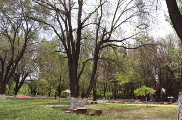 1562811493829108.png 微信截圖_20190711101621.png