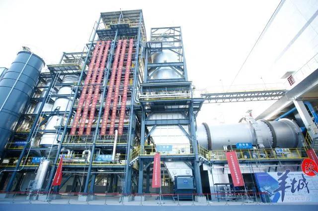 1608710406172085.jpg 3.jpg